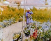 卡尔 拉尔森 : In the garden 2